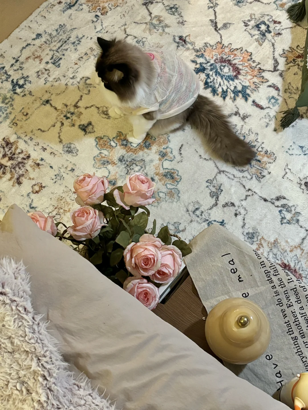 我妈不敢相信这是同一个房间……?