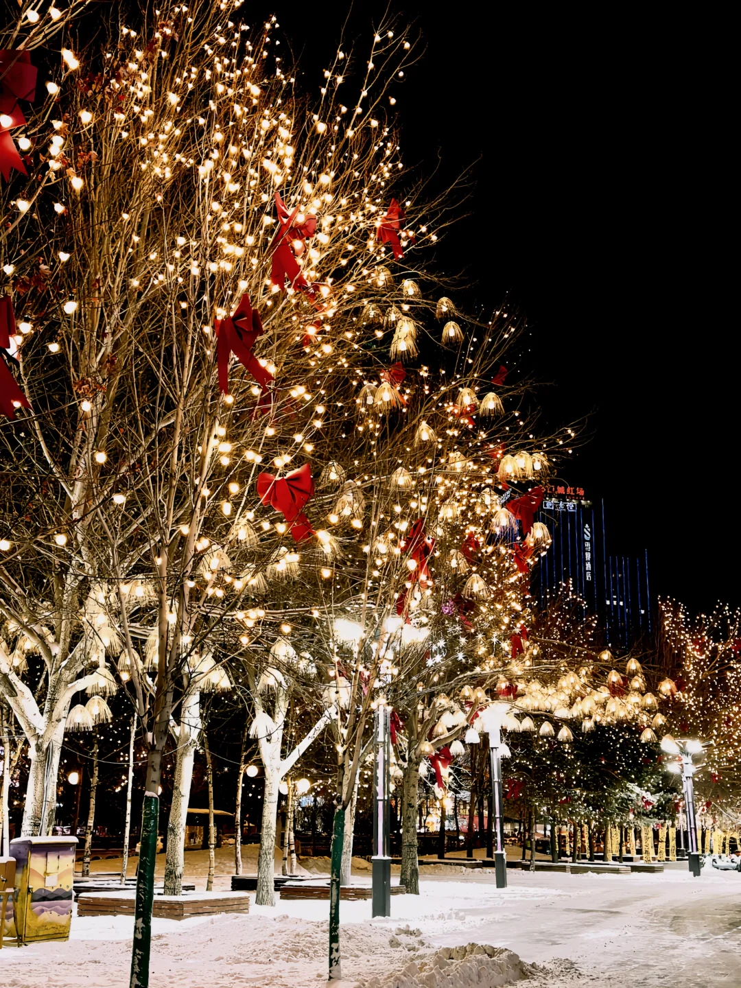 可能其实还是晚上更美丽[晚安R]哈尔滨 雪一落就美成了诗