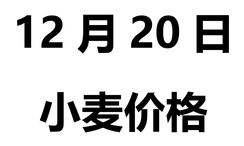 2025年12月20日小麦价格涨跌表