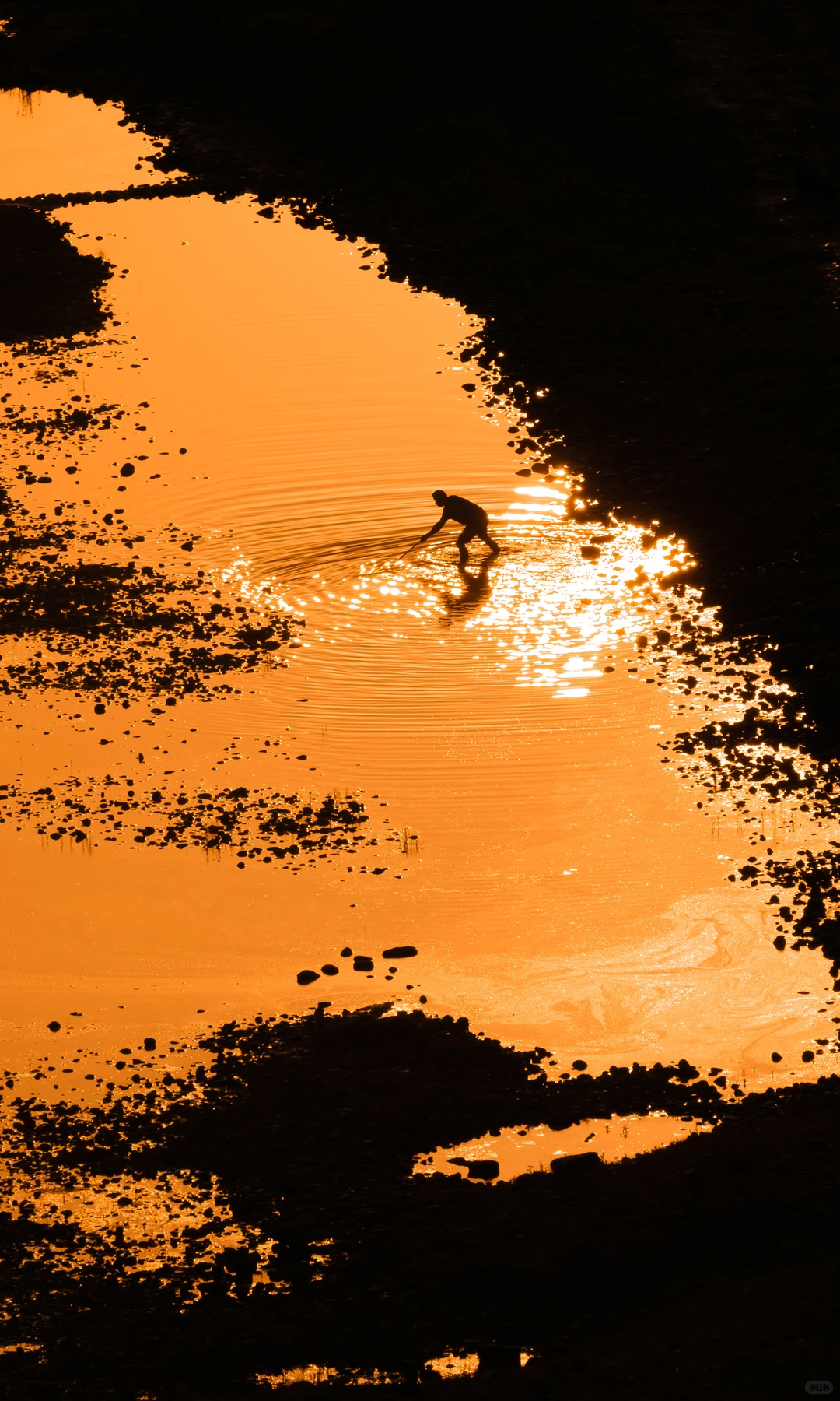 2025|星光会说话。