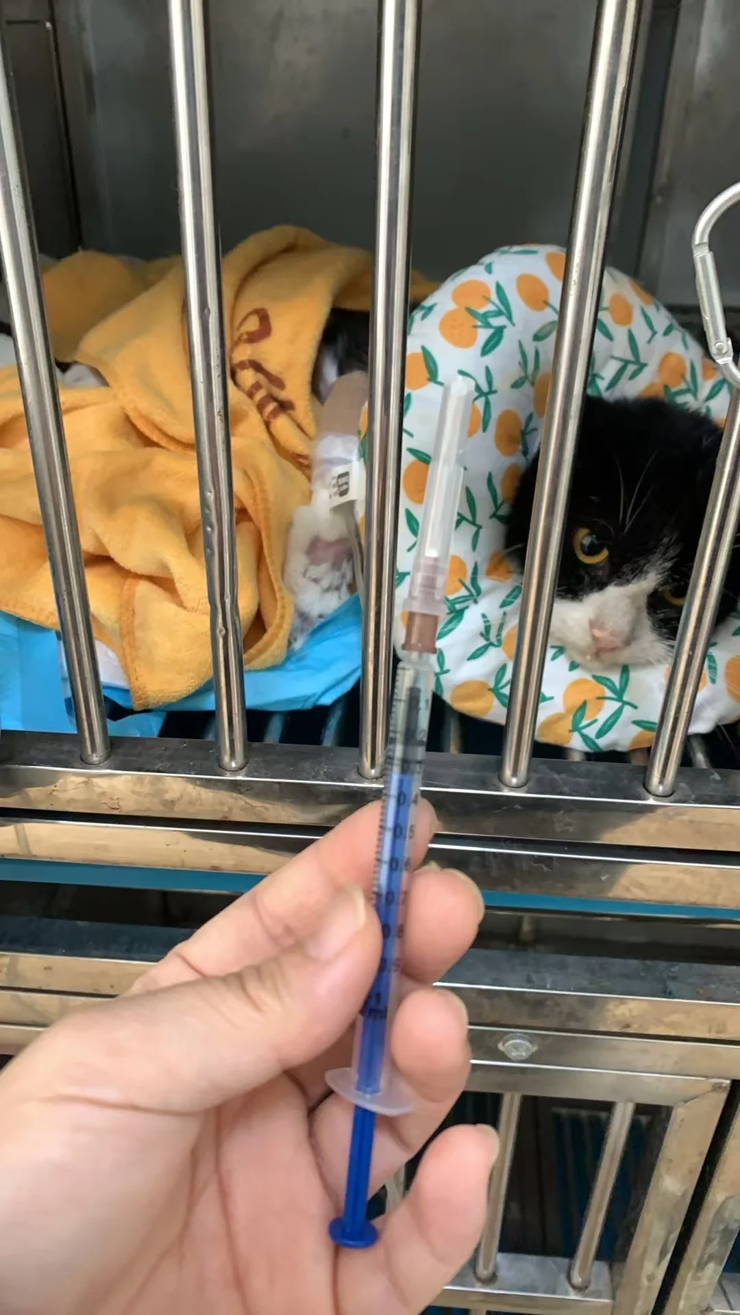 人，你还记得我吗？