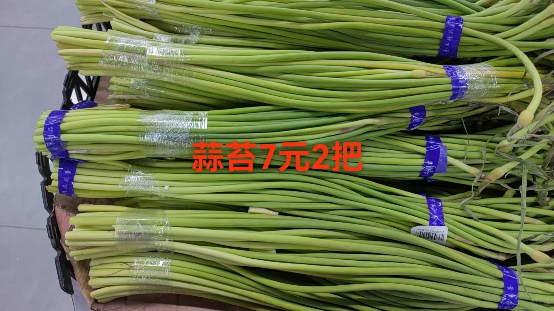 真实感受到今年的菜价了