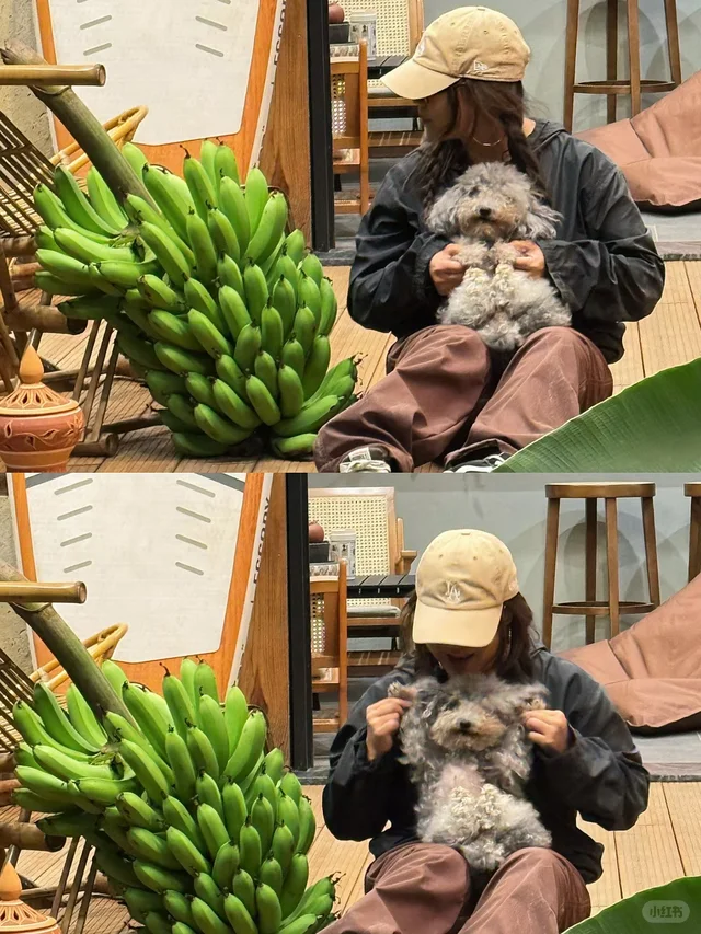 plog｜幸福寨屋 收获人生第一颗自种香蕉?