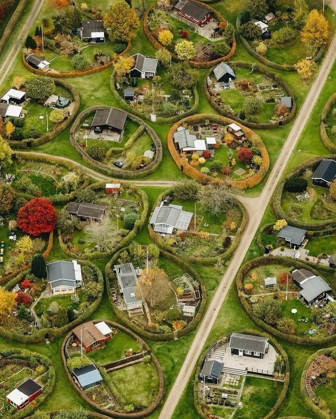 椭圆花园的一年四季