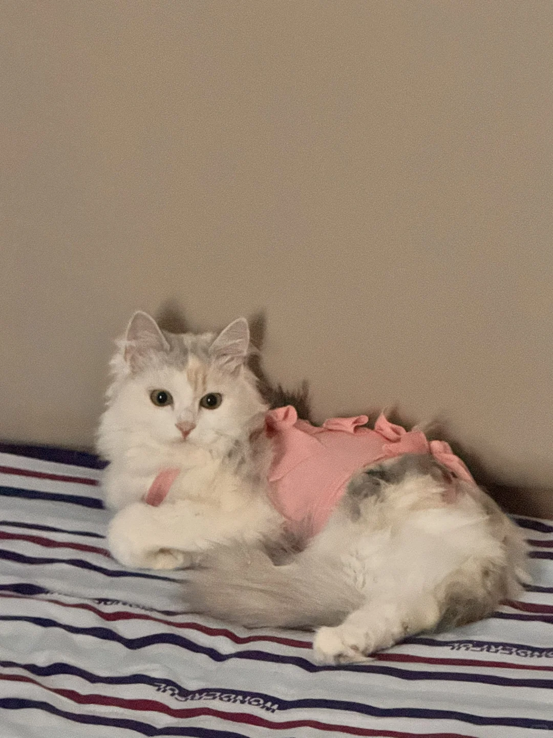 邯郸银三花相亲