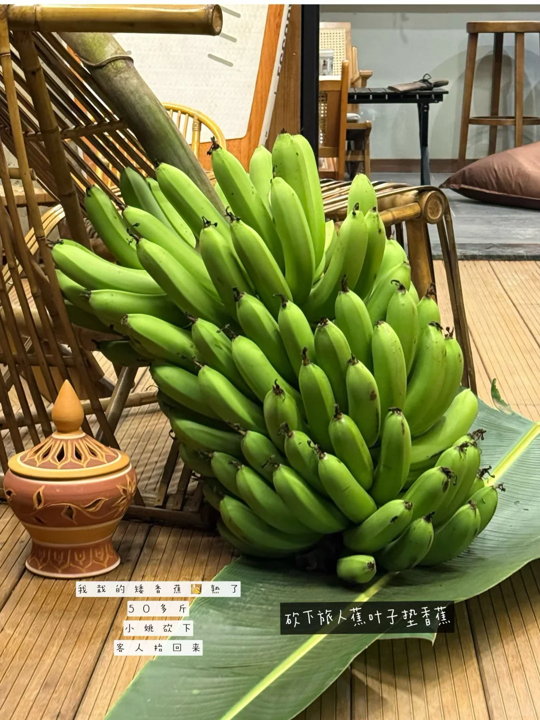 plog｜幸福寨屋 收获人生第一颗自种香蕉?