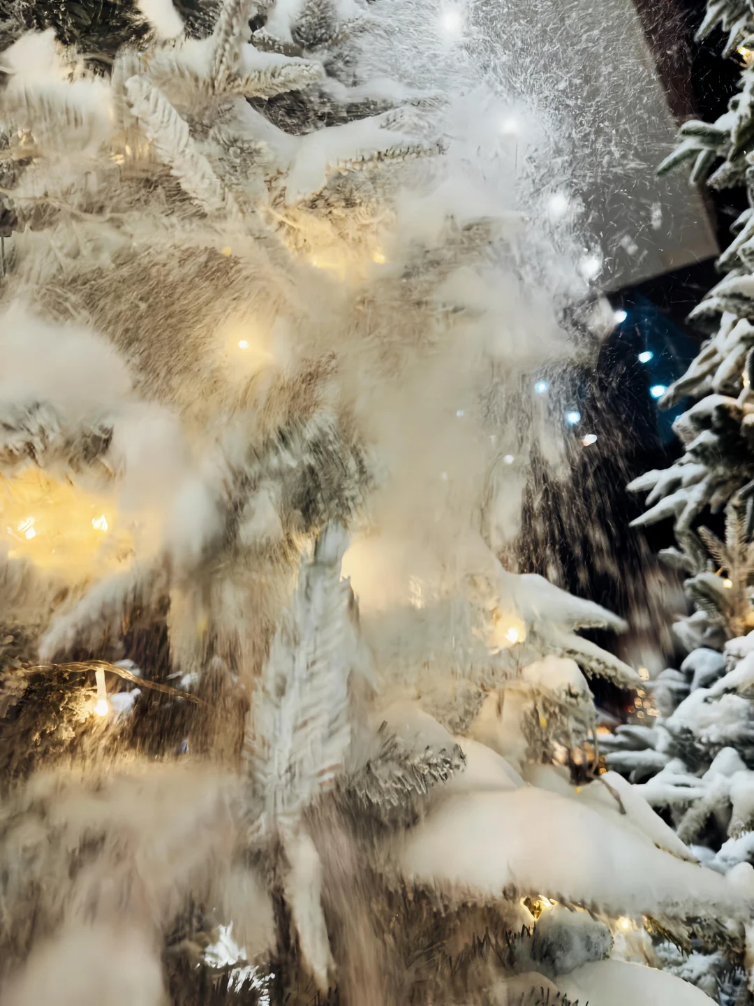 可能其实还是晚上更美丽[晚安R]哈尔滨 雪一落就美成了诗