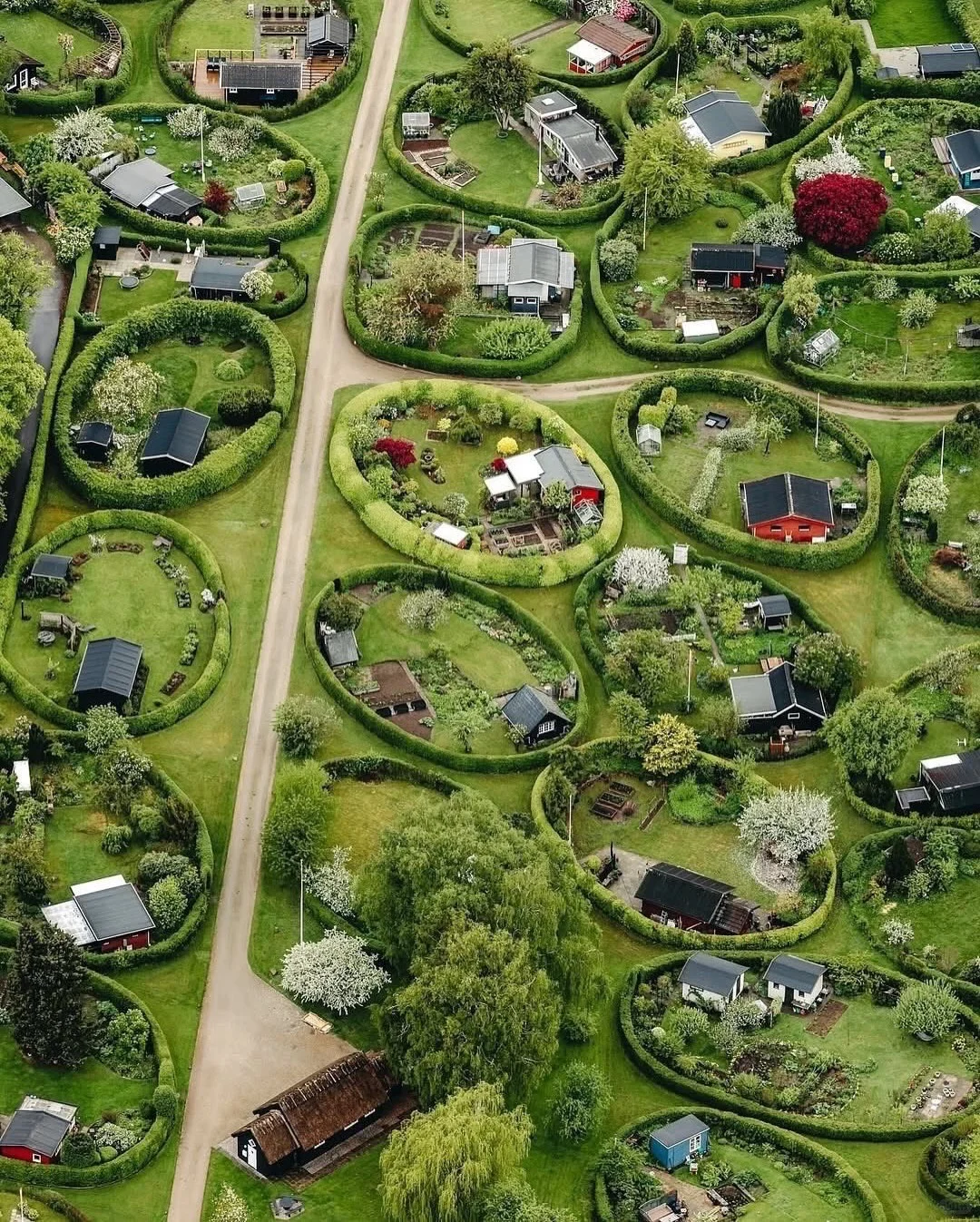 椭圆花园的一年四季