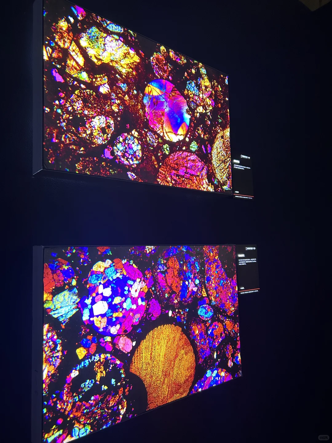 河北邯郸?美乐城真的太好玩啦