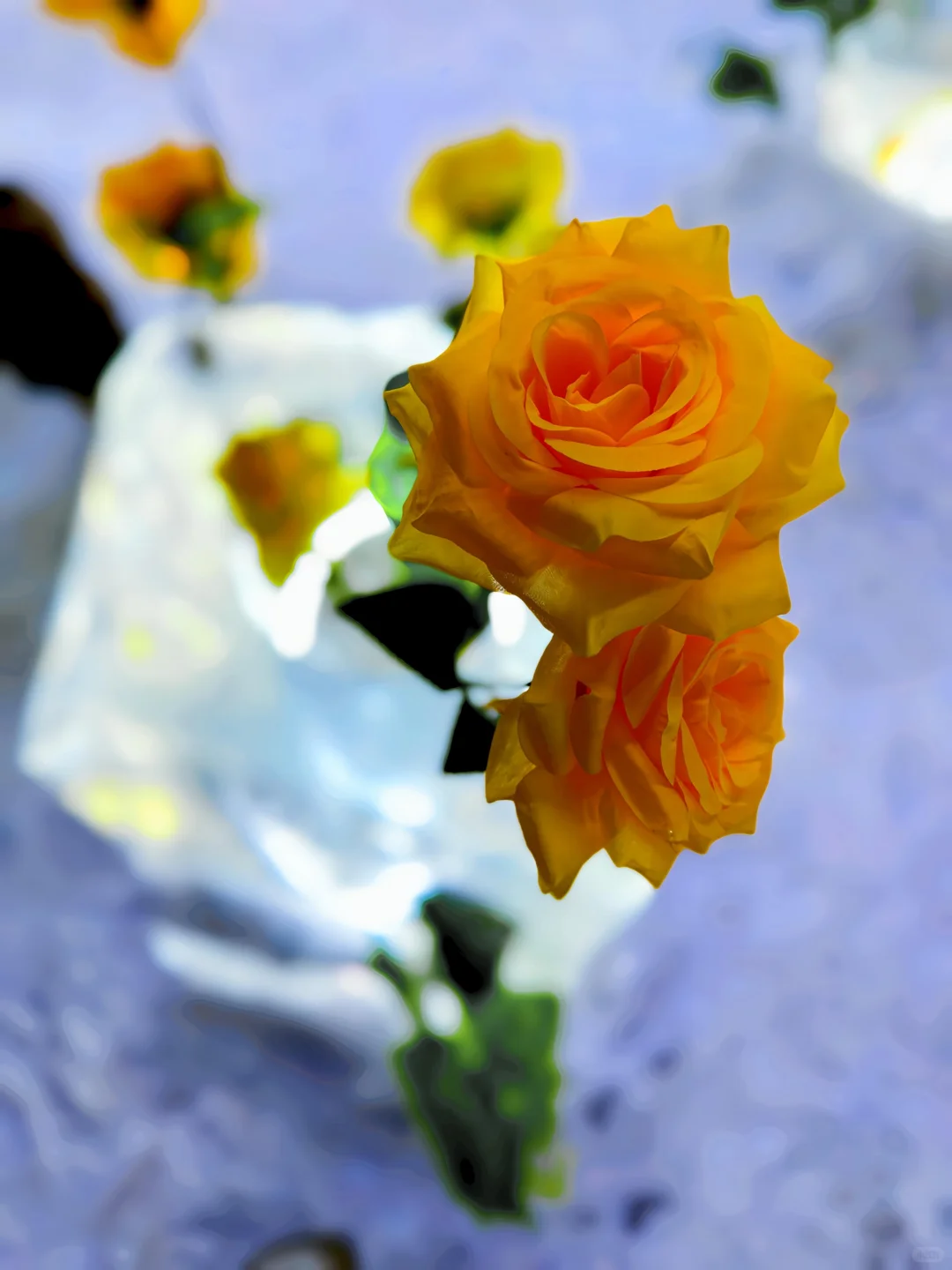 可能其实还是晚上更美丽[晚安R]哈尔滨 雪一落就美成了诗