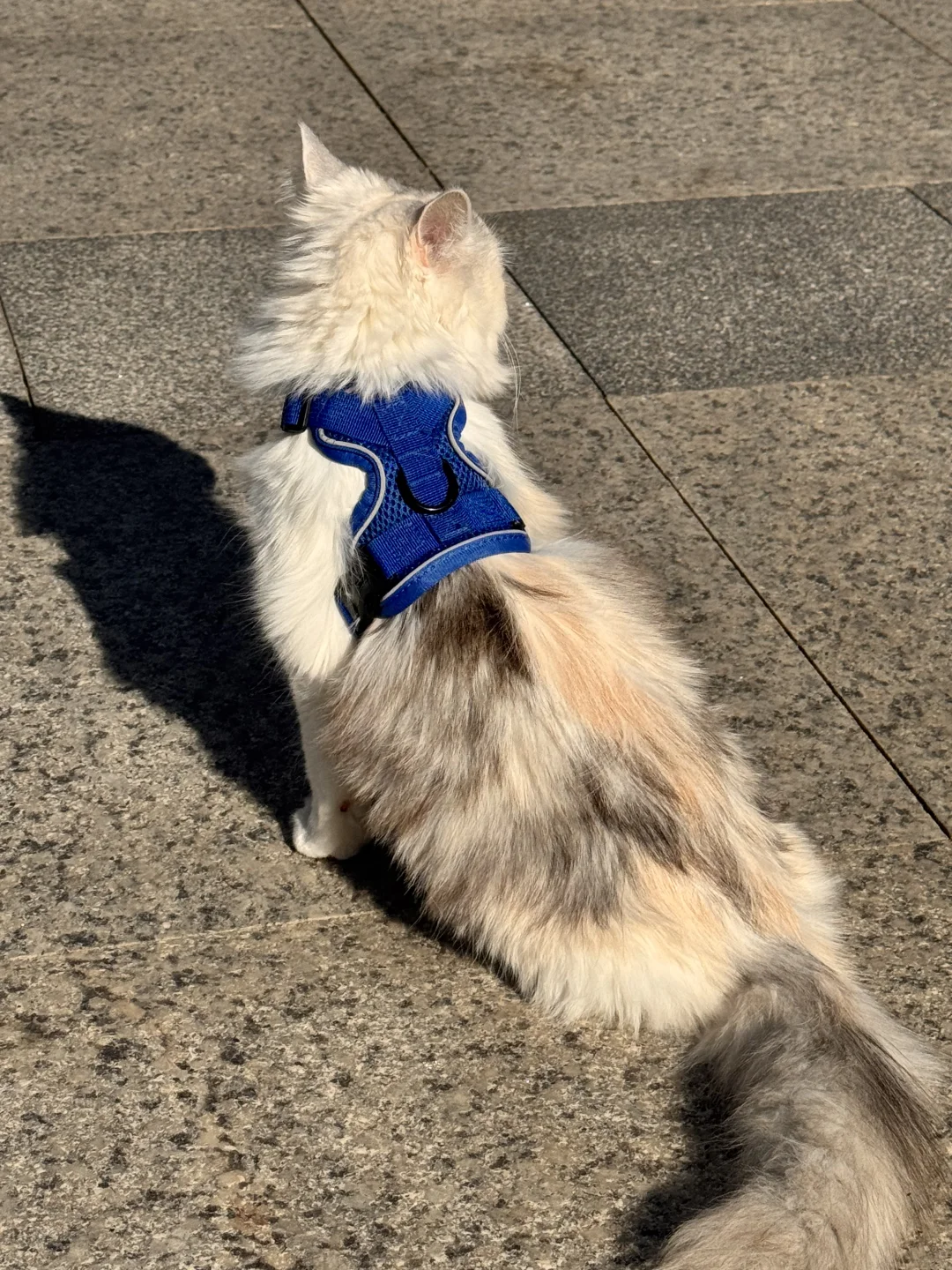 邯郸银三花相亲