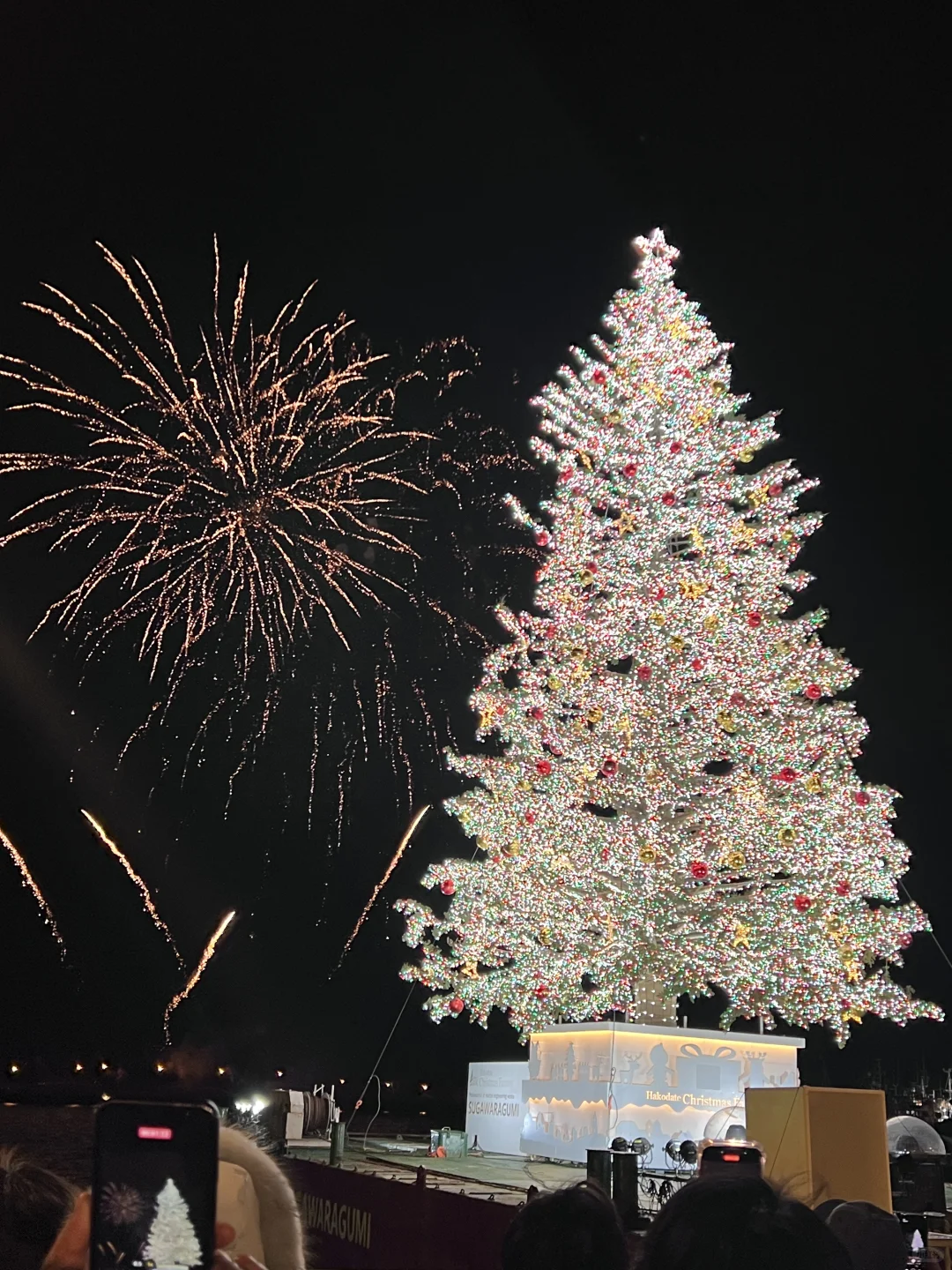 很喜欢这张照片