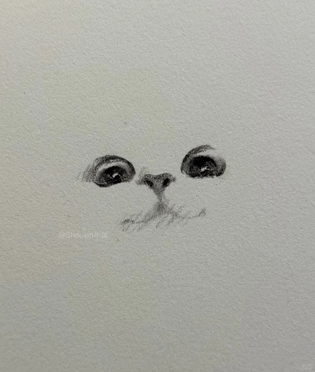 画到一半忍不住拍下来…