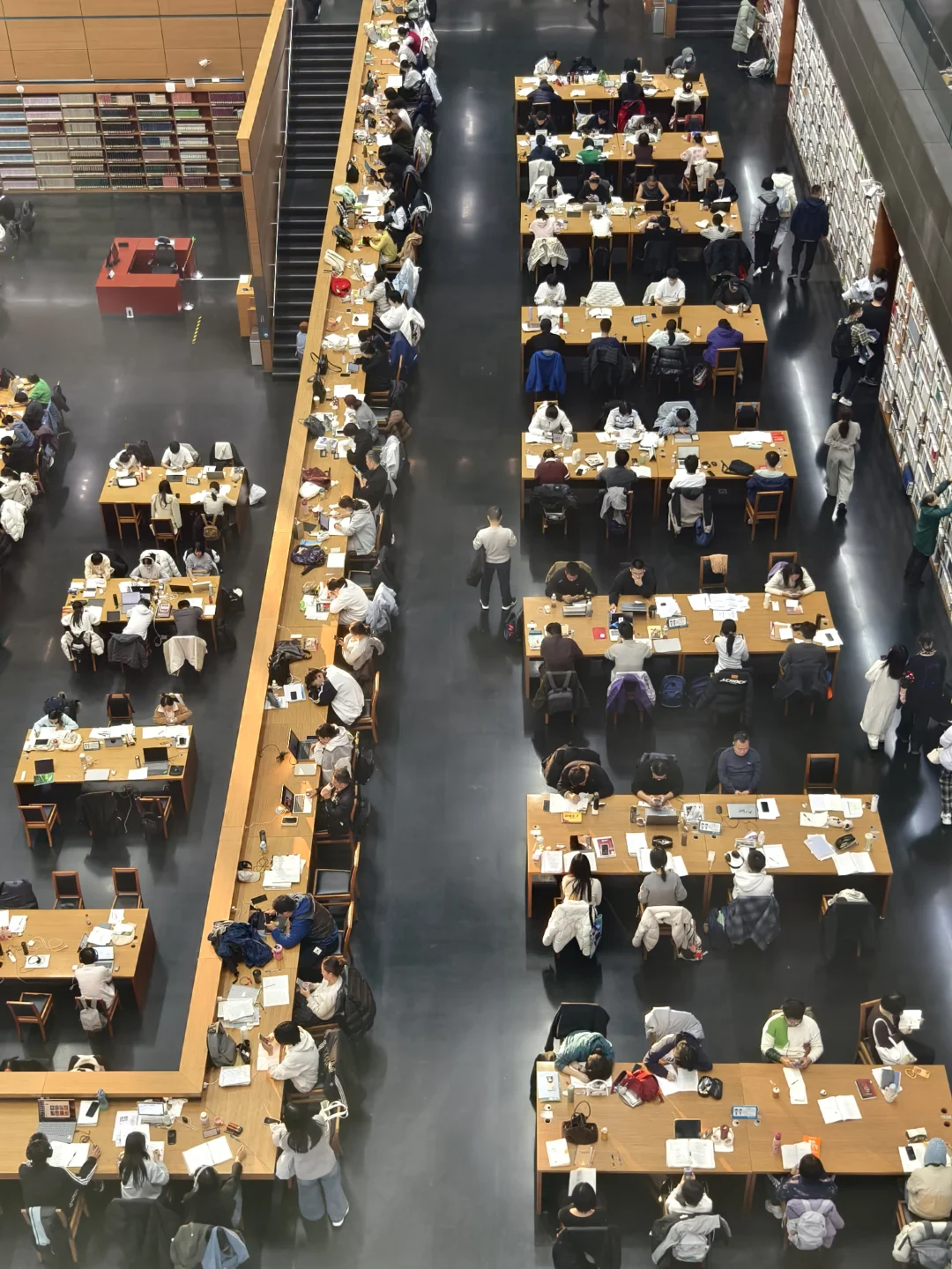 狗来了都得学两小时，亚洲最大的图书馆