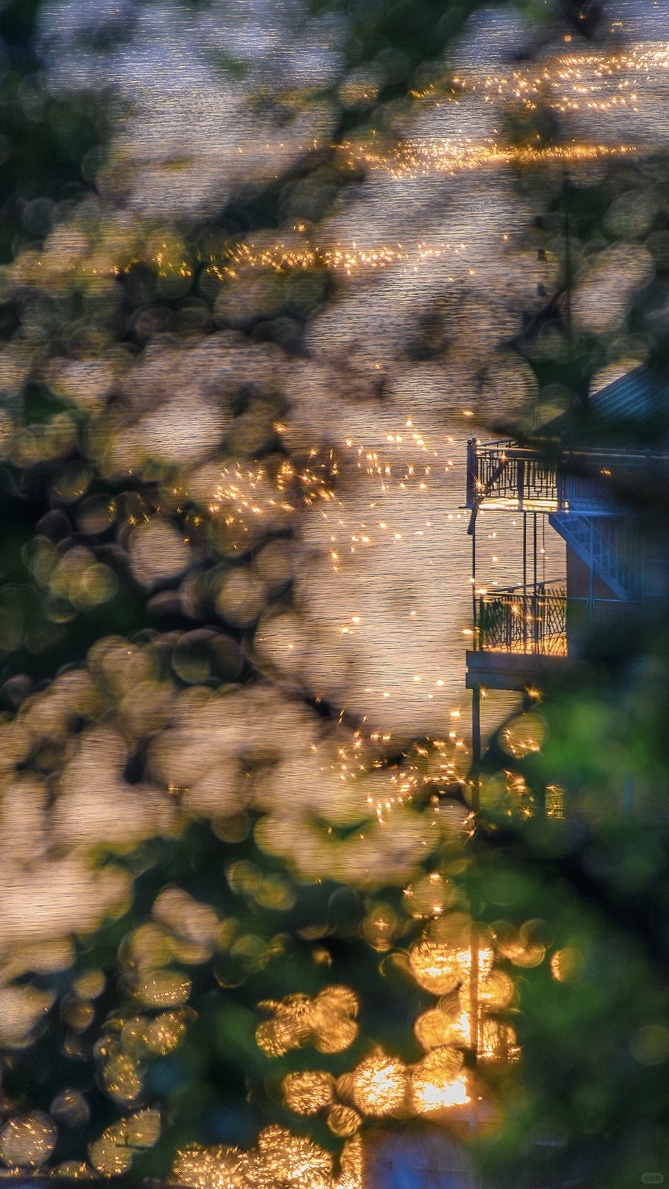 2025|星光会说话。