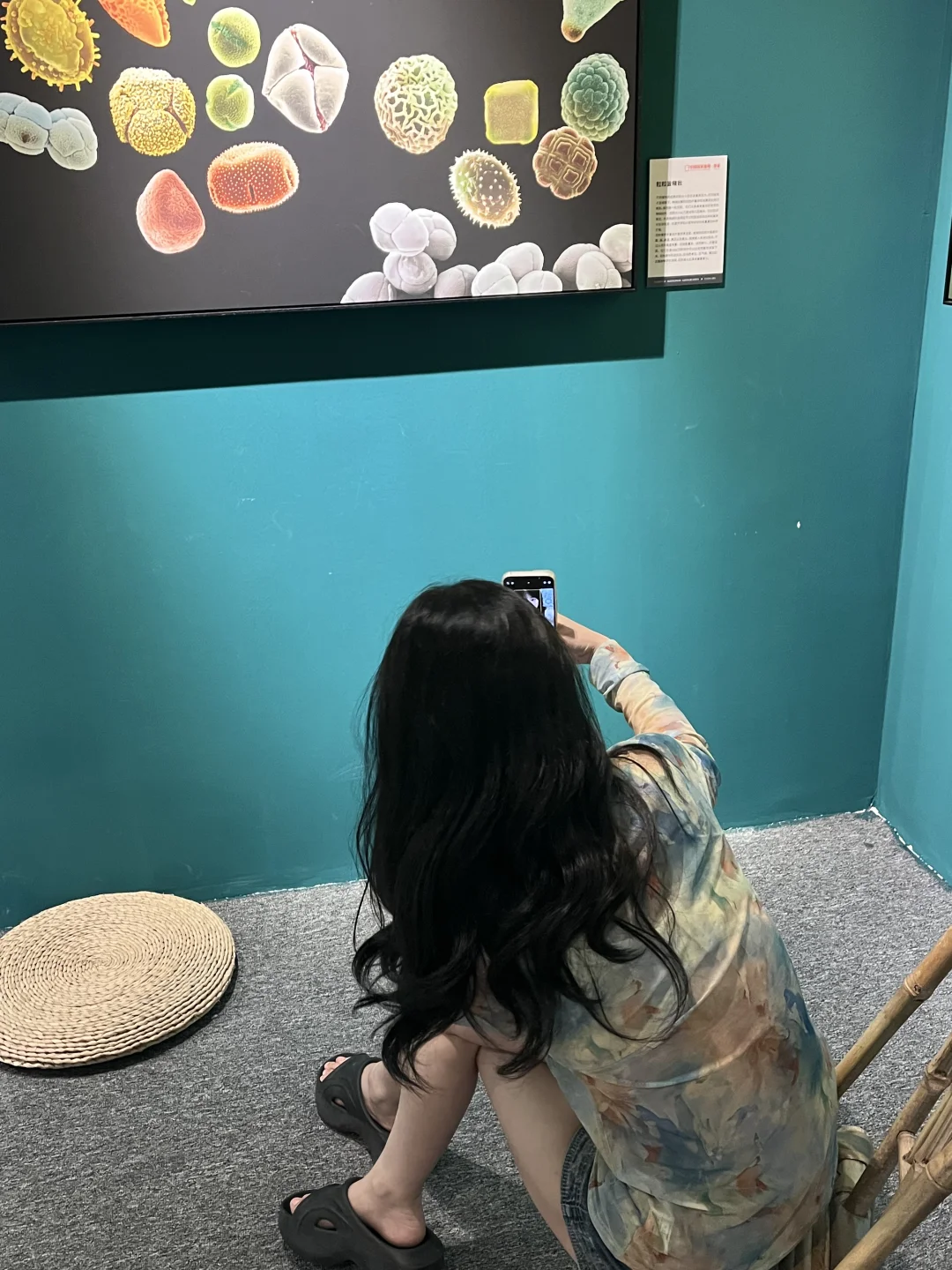 河北邯郸?美乐城真的太好玩啦