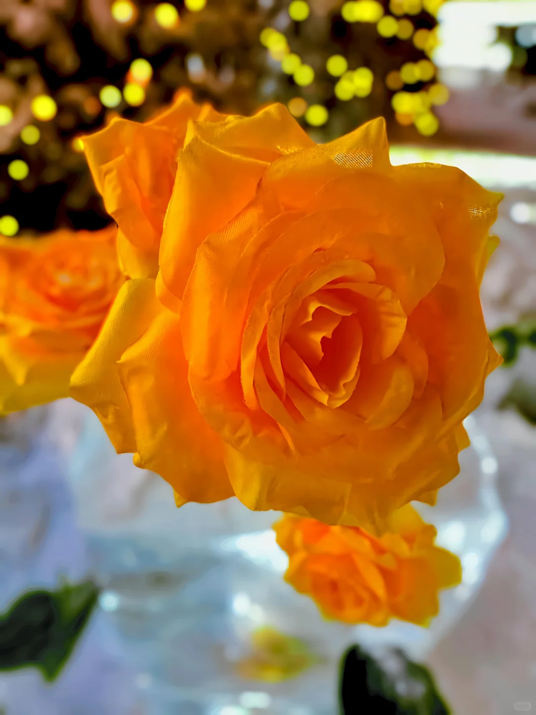 可能其实还是晚上更美丽[晚安R]哈尔滨 雪一落就美成了诗