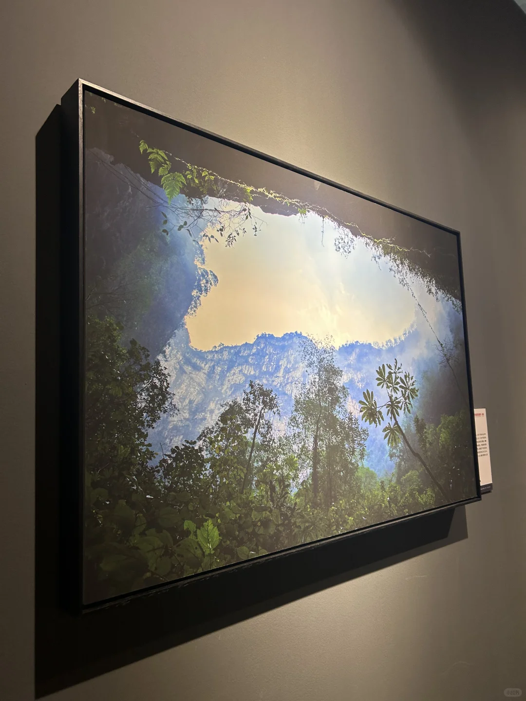 河北邯郸?美乐城真的太好玩啦