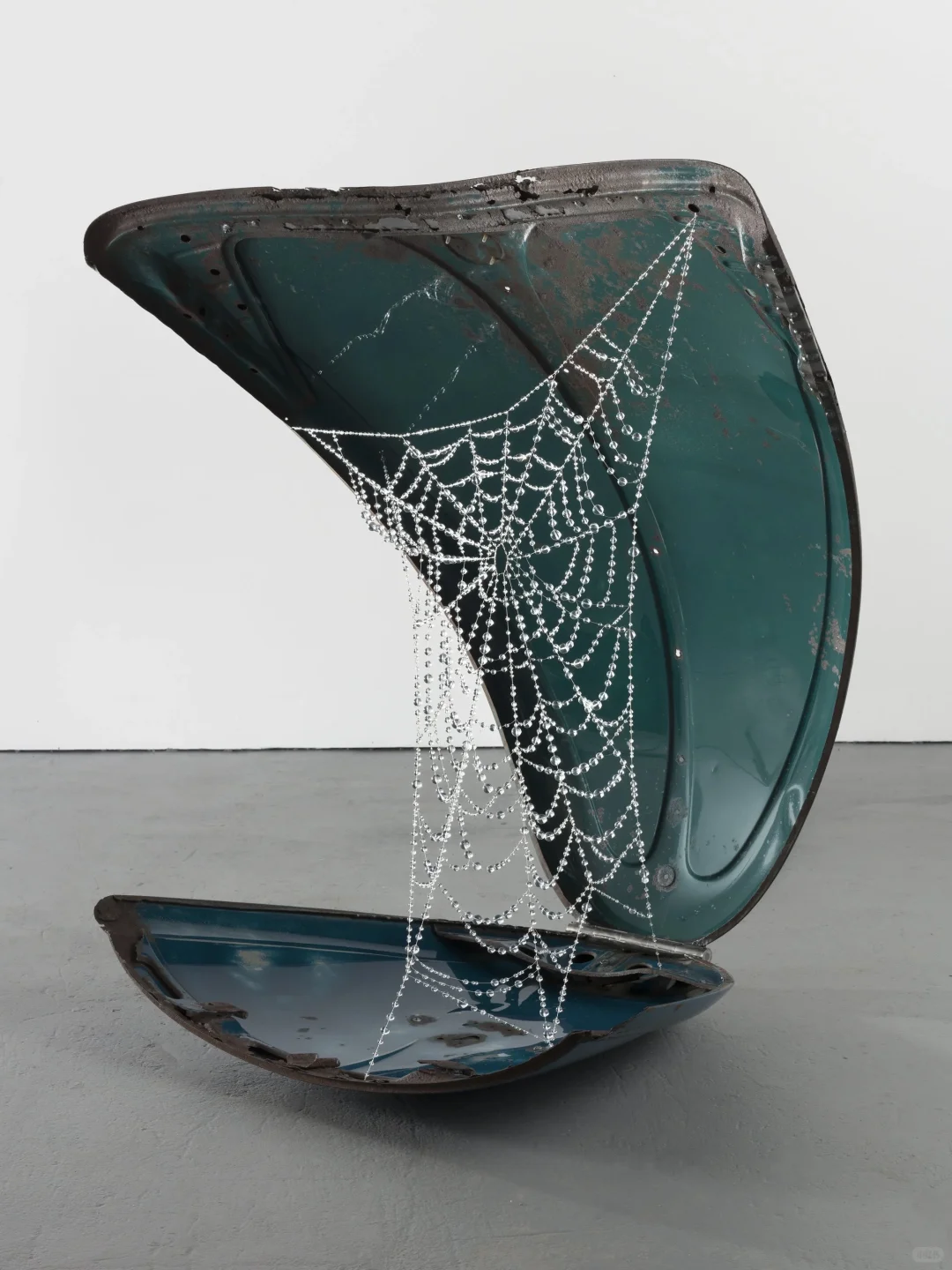 Kathleen Ryan：用宝石雕刻腐烂