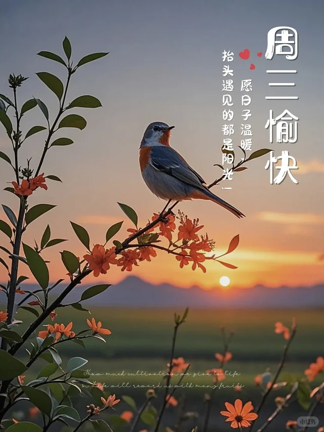 早安?、²⁰²⁵/₁₂.₂₄早安?、早安