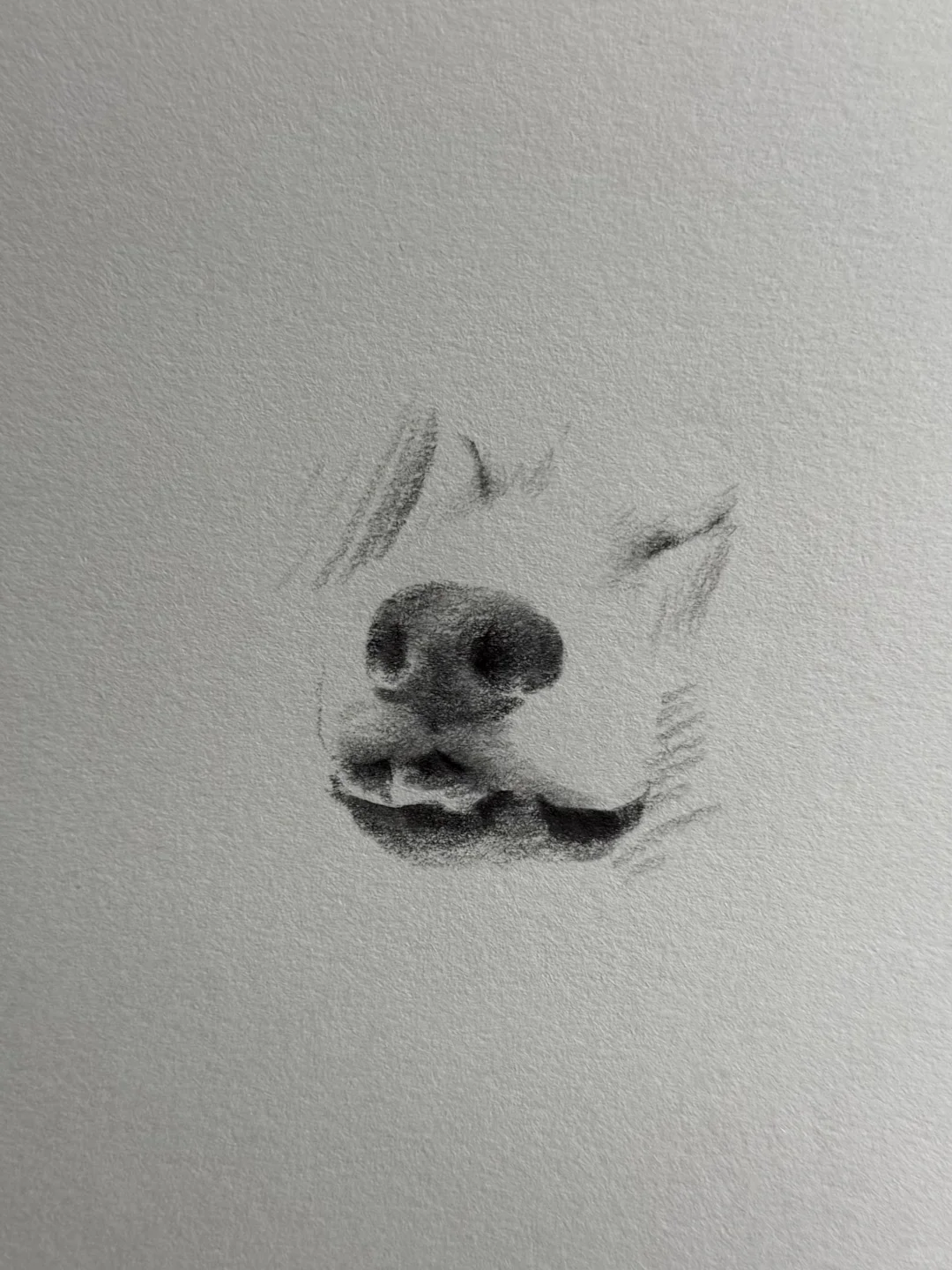 画到一半忍不住拍下来…