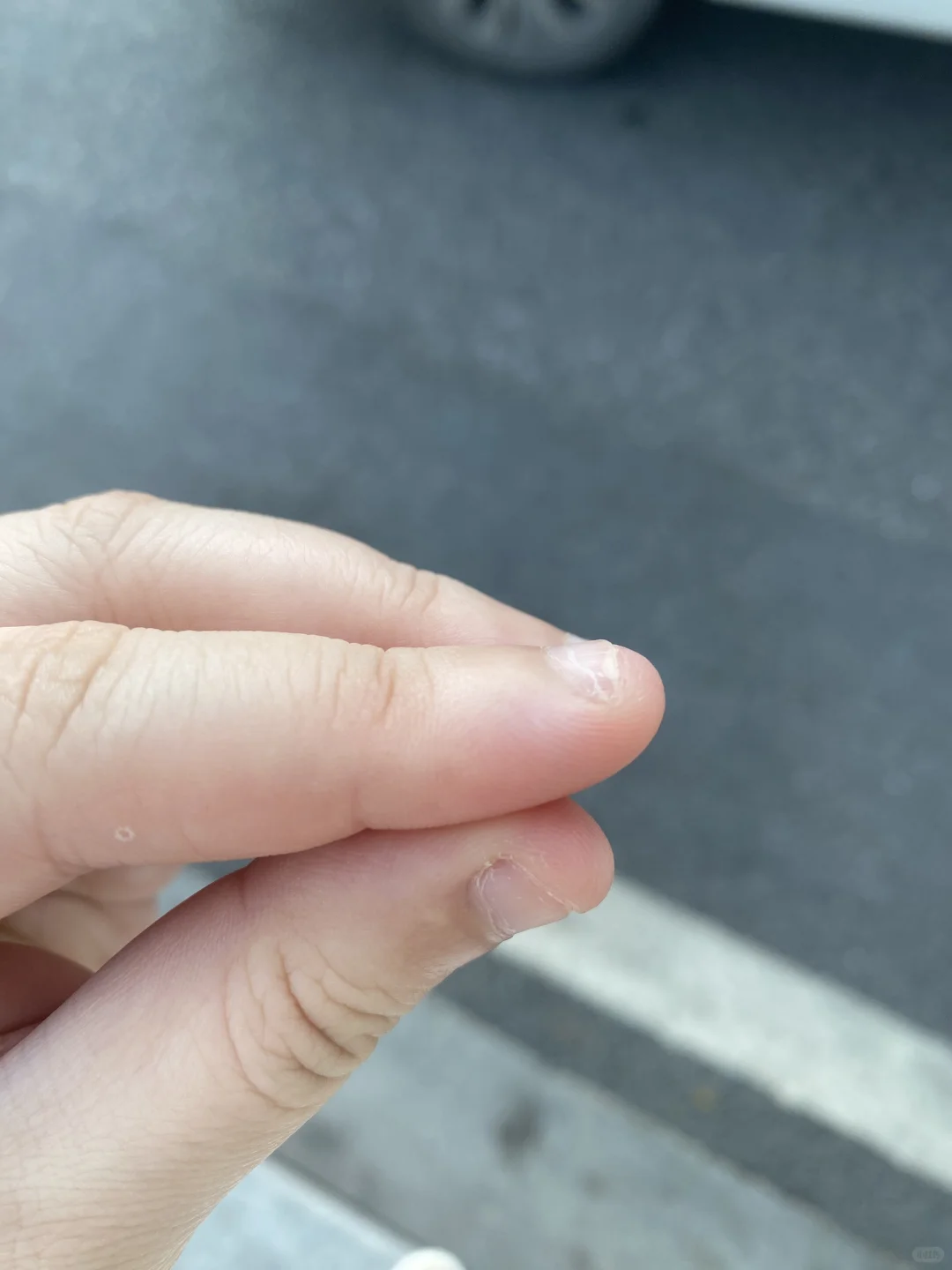 十几天之后就是婚礼了