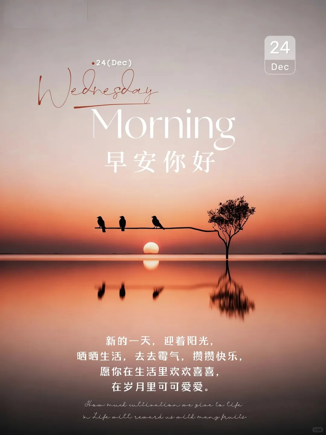 早安?、²⁰²⁵/₁₂.₂₄早安?、早安