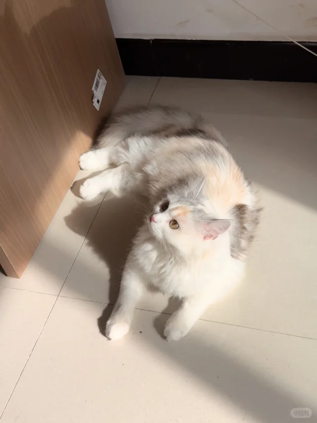 邯郸银三花相亲