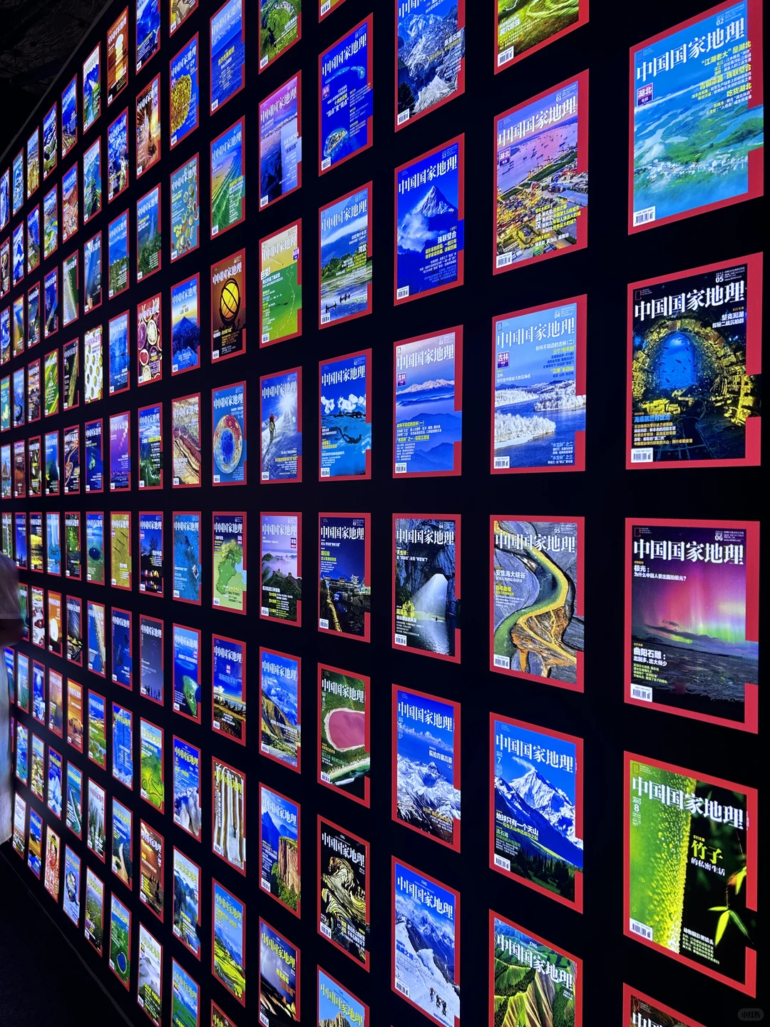 河北邯郸?美乐城真的太好玩啦