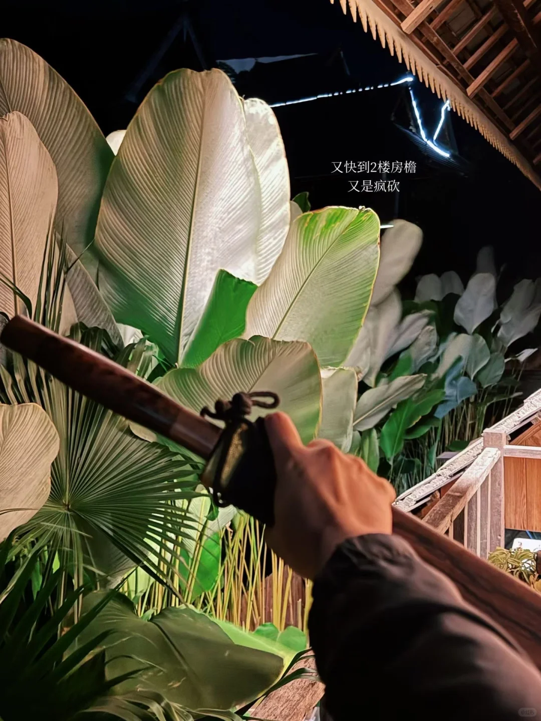 plog｜幸福寨屋 收获人生第一颗自种香蕉?