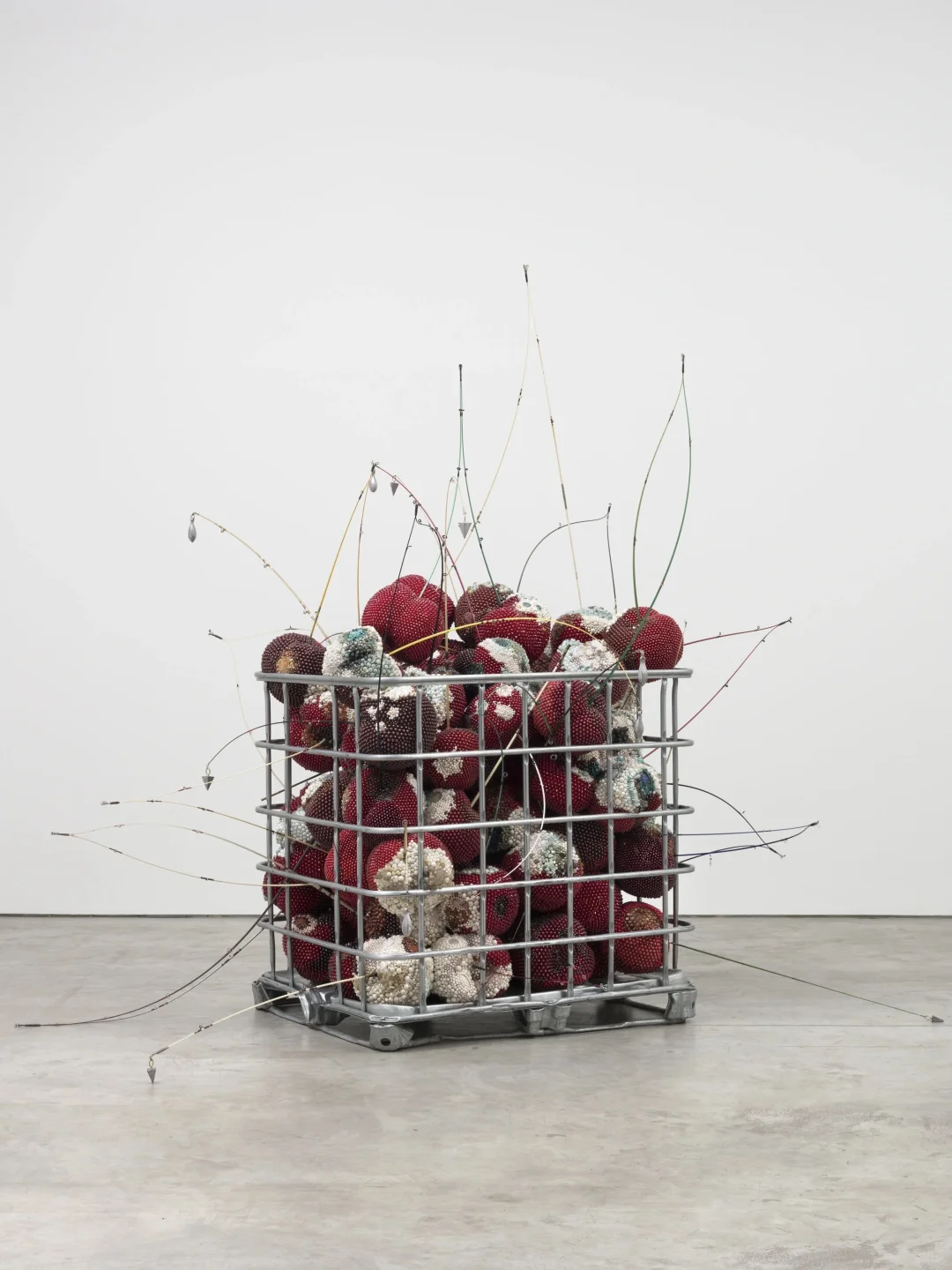 Kathleen Ryan：用宝石雕刻腐烂