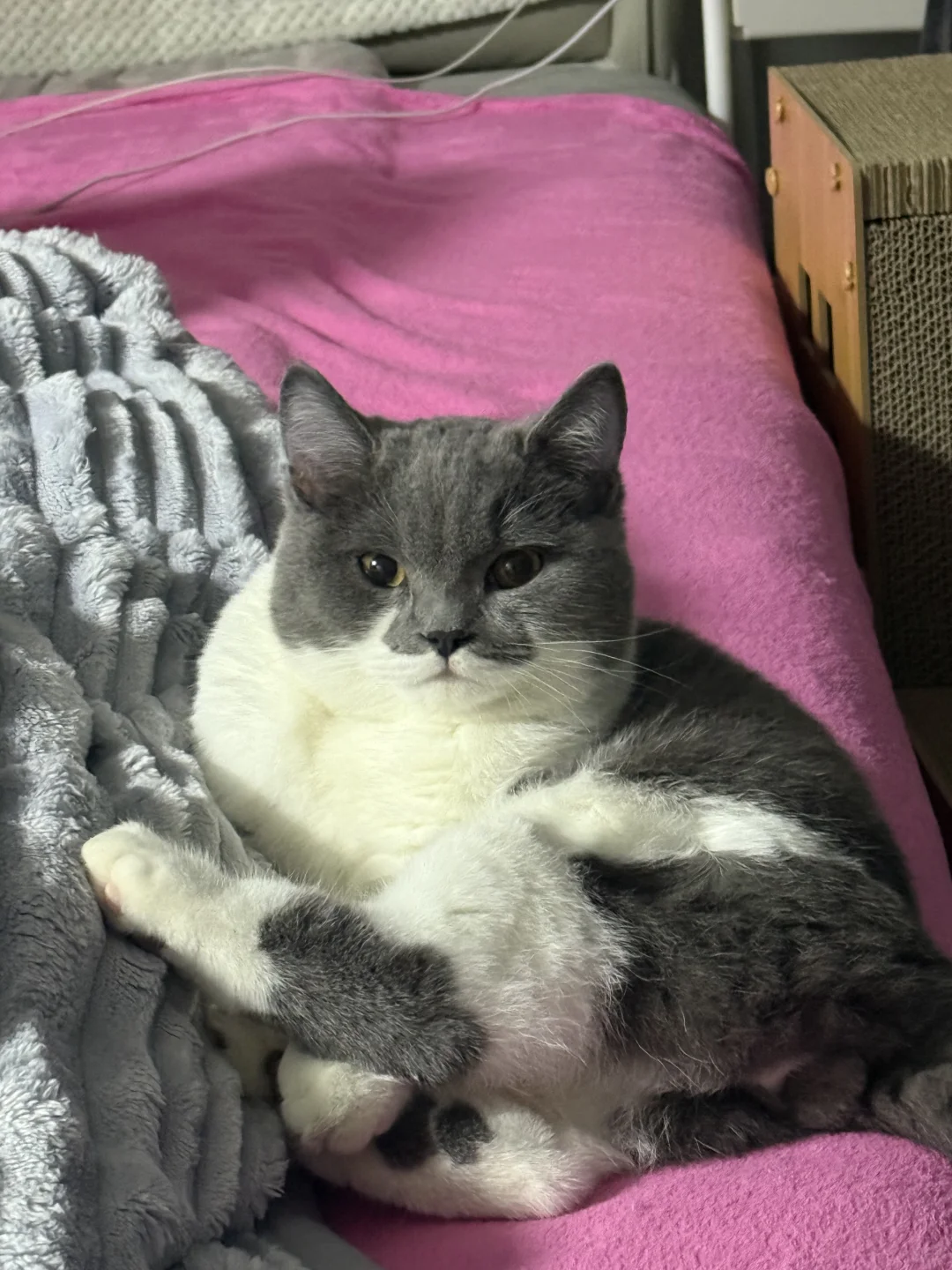 室友晚上不洗脚怎么办