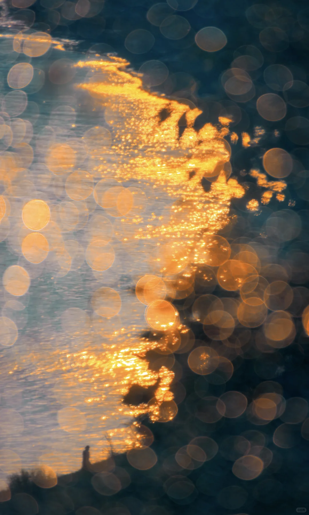 2025|星光会说话。