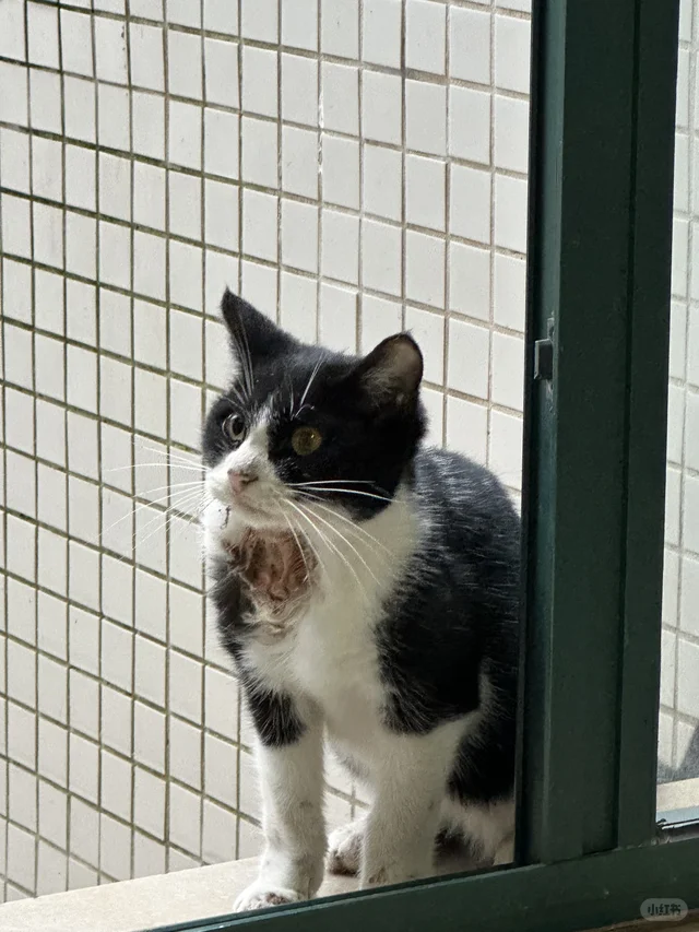 人，你还记得我吗？