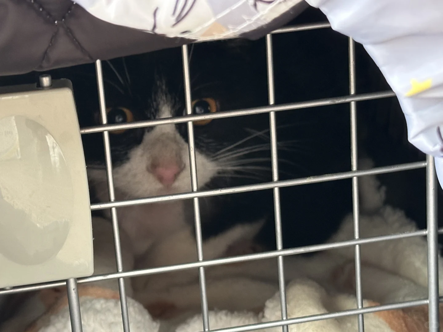 人，你还记得我吗？