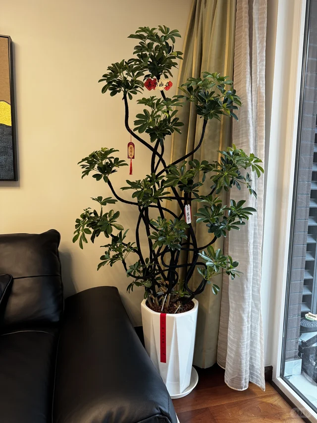 今日份送达-青浦