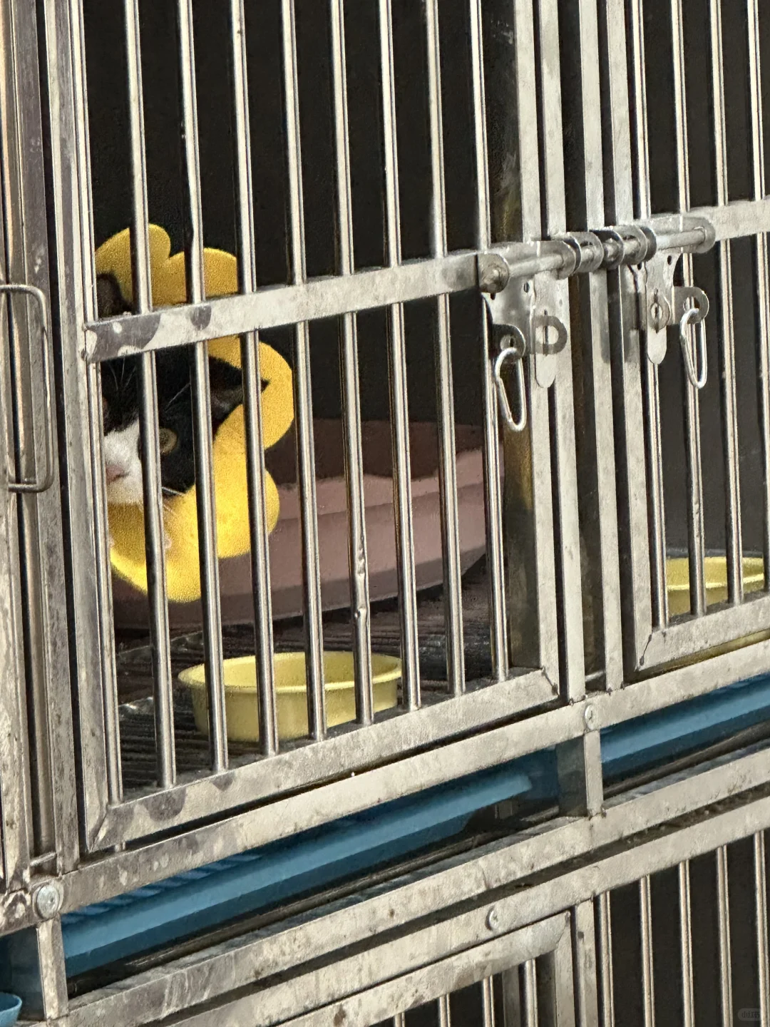 人，你还记得我吗？