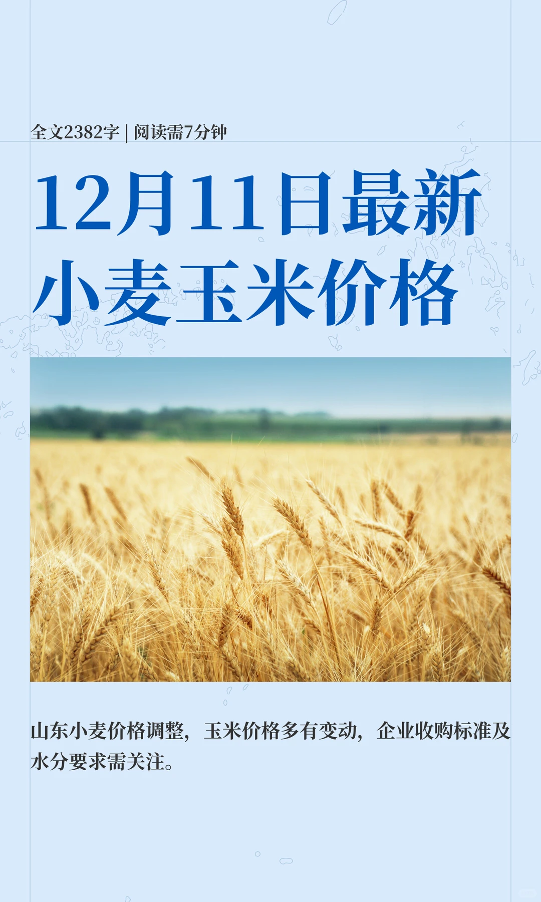 12月11日最新小麦玉米价格