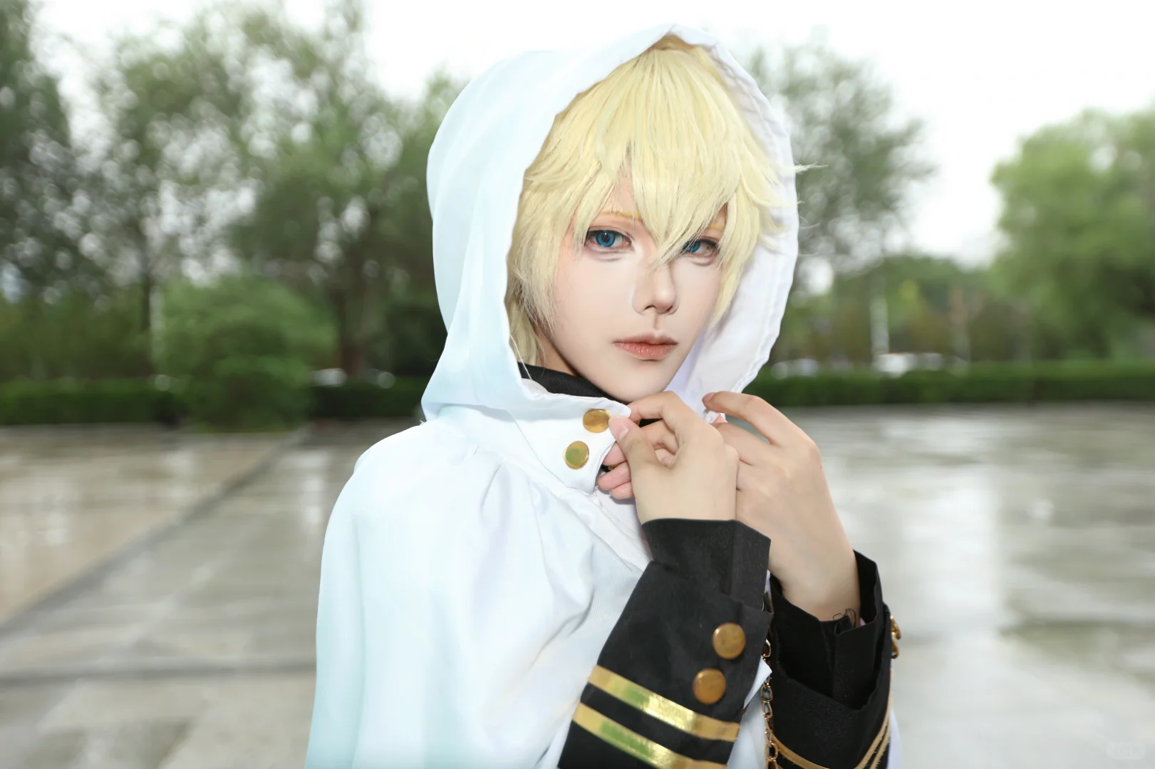 自由行互,求28??,谢谢宝宝们!