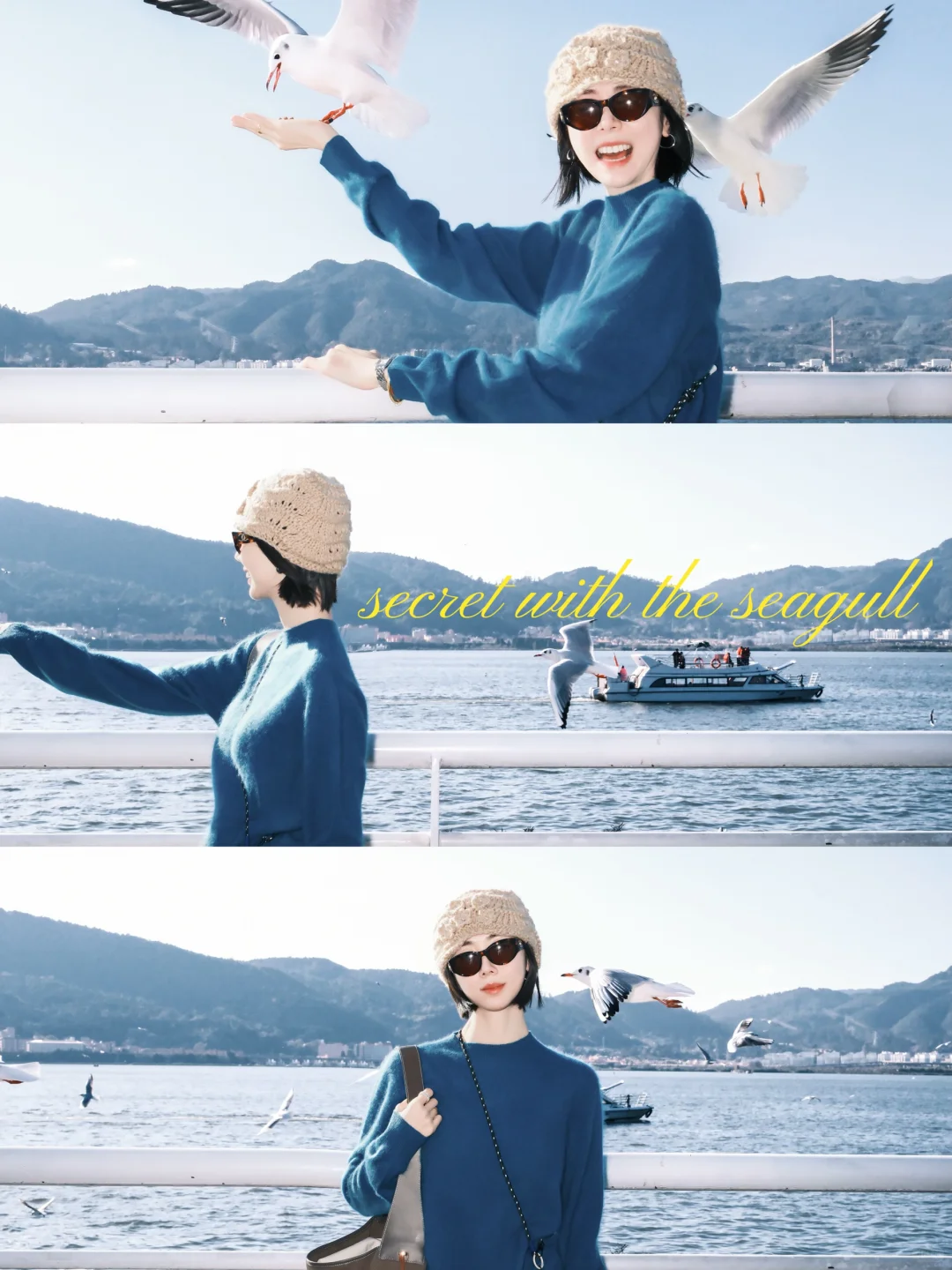 非常Lucky✌️遇到了滇池海鸥回迁时?