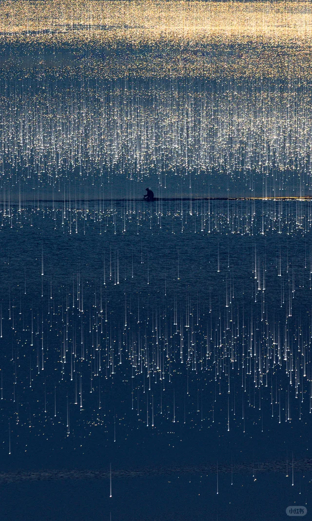 2025|星光会说话。