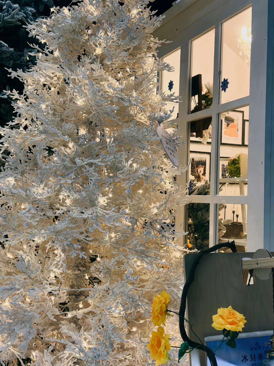 可能其实还是晚上更美丽[晚安R]哈尔滨 雪一落就美成了诗