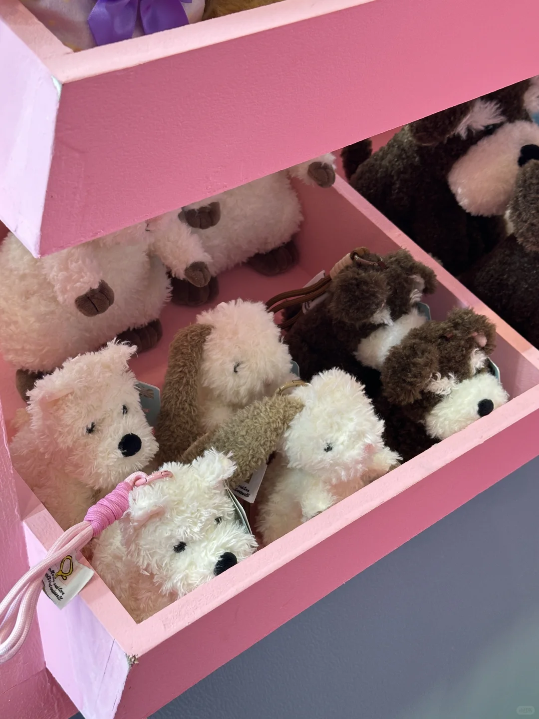 深圳礼品展?多爱新品现场直击！！