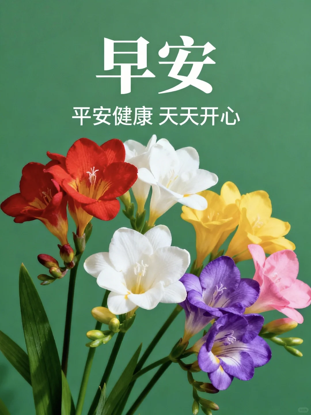 愿一切美好与你相伴 迎接新的一天 早安日签 早安图 美好的一天从清晨开始 愿所有