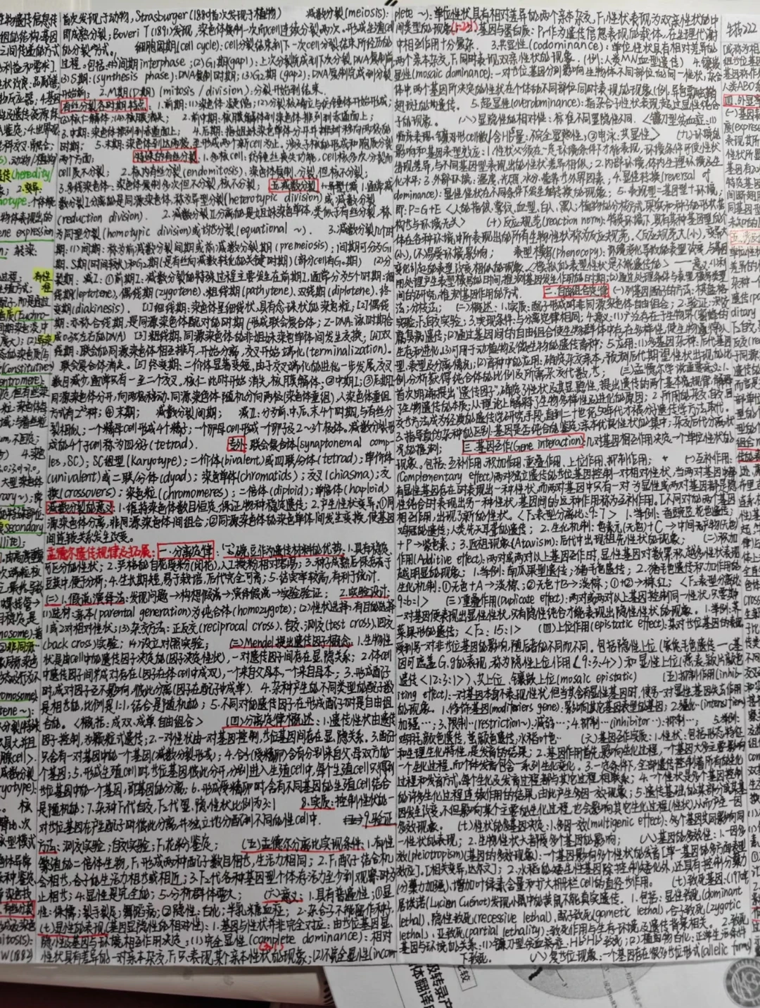 手搓的汉谟拉比法典（合集版