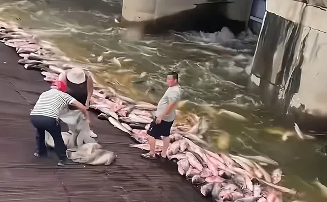 **钓鱼佬的春天，绝不空军**