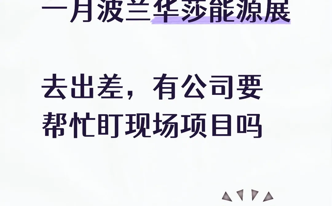 一月波兰华莎能源展