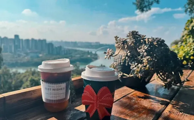 人生如葡园，酸涩是必经的发酵，甘醇是耐心的利息，最甜的收获不是偶然，是忍过一千个