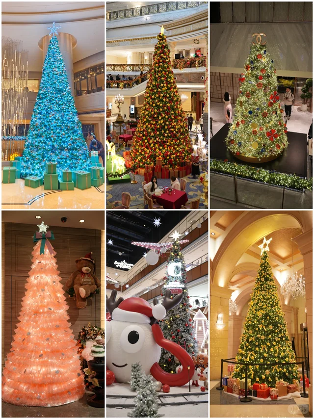 来王府井看圣诞树啦