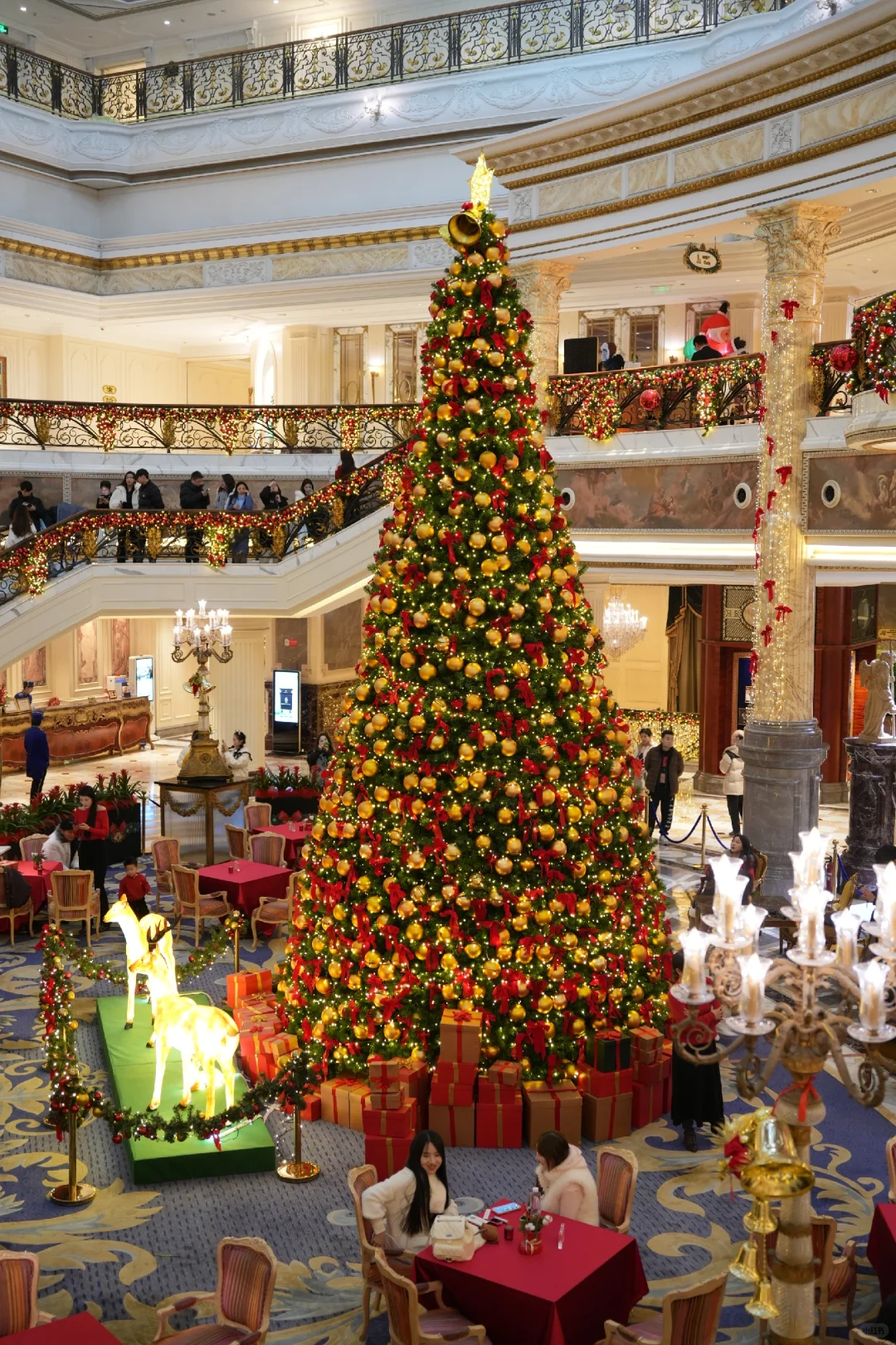 来王府井看圣诞树啦